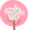 PAGETOP